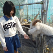 生物の授業「生物観察」